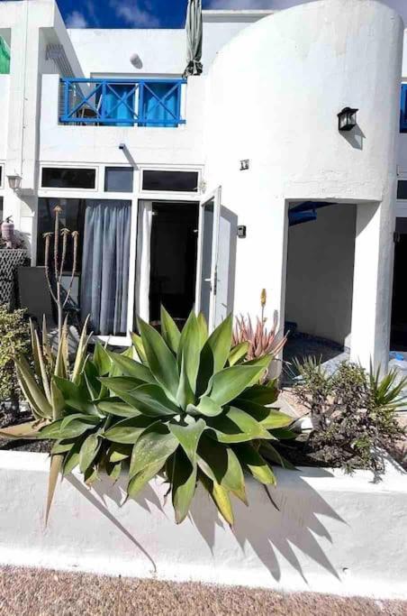 Apartament 17 Puerto Del Carmen Blueshark Zewnętrze zdjęcie